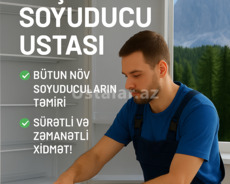 Soyuducu təmiri
