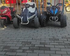 Təcrübəli və səmimi sürücü