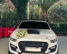 Ford Mustang toy masini icaresi