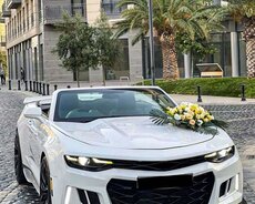 Chevrolet Camaro gelin masini sifarisi