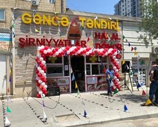 Giriş şar