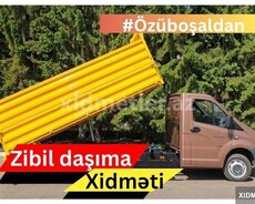 Temir Tullantilarin dasinmasi