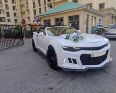 Camaro bey gelin masin icaresi
