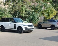 Toy masini. Vip taxi. Transfer